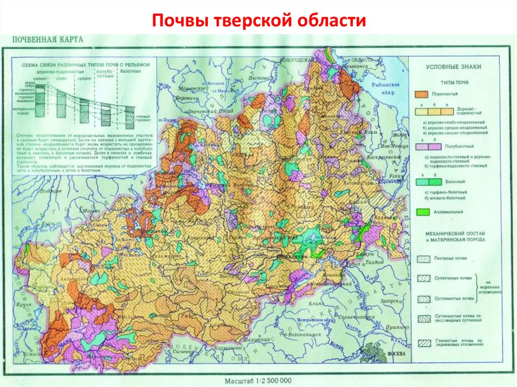 Карта почв тверской области