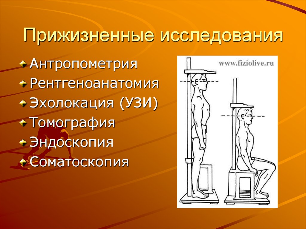 Антропометрия это. Соматоскопия и антропометрия. Антропометрия это измерение. Клиническая антропометрия. Антропометрия исследования.