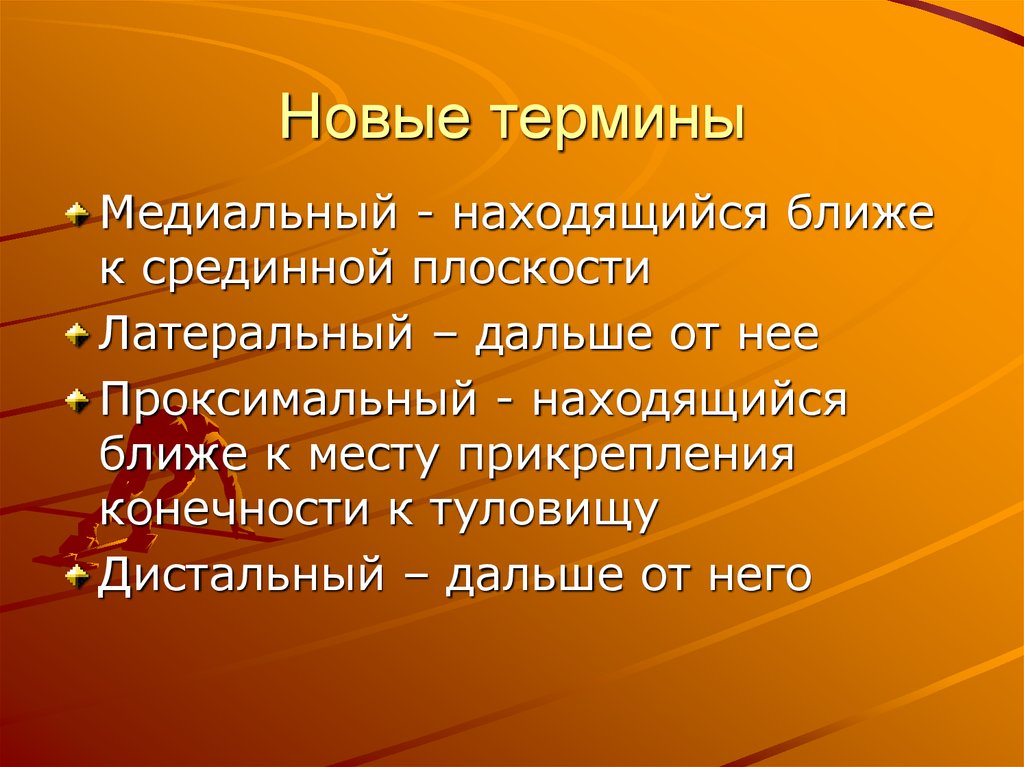 Новые термины