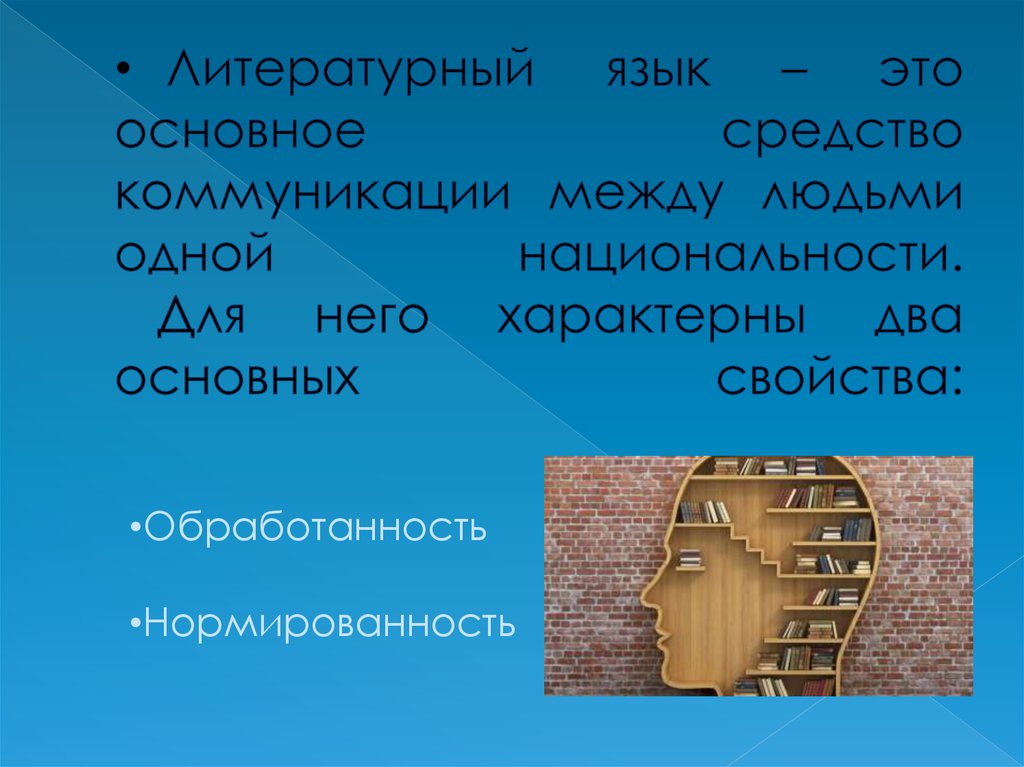 Язык как отражение национального характера презентация