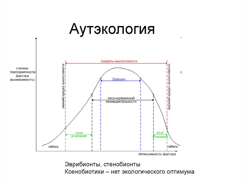 Аутэкология. Термин аутэкология. Задачи аутэкологии. Аутэкология это экология.