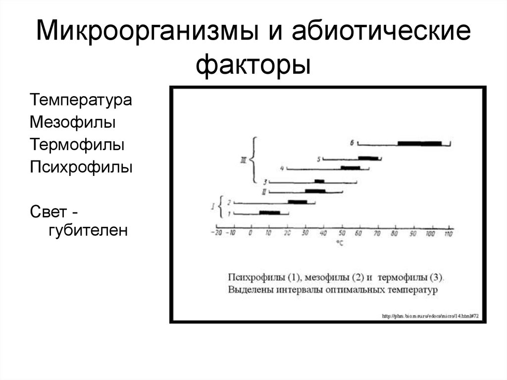 Факторы температуры