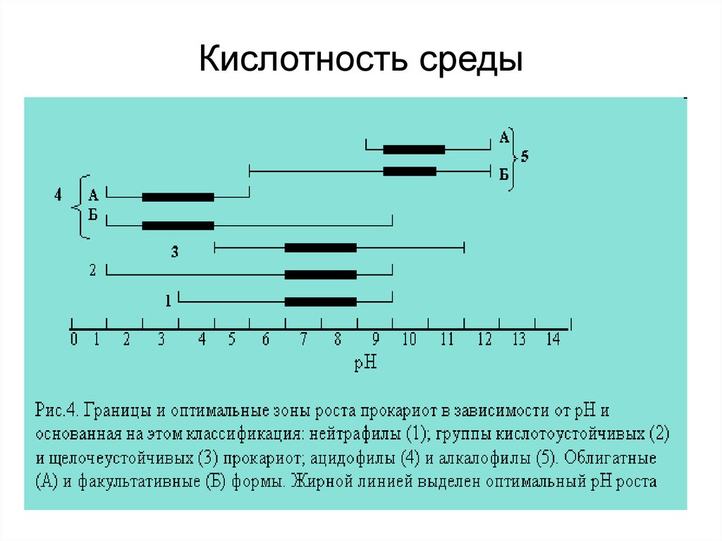 Связанная кислотность