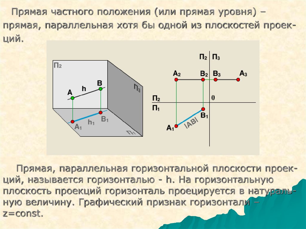 Характеристика проекции. Плоскость параллельная горизонтальной плоскости проекций. Пространственная модель координатных плоскостей проекций. Прямая частного положения. Прямая общего и частного положения.