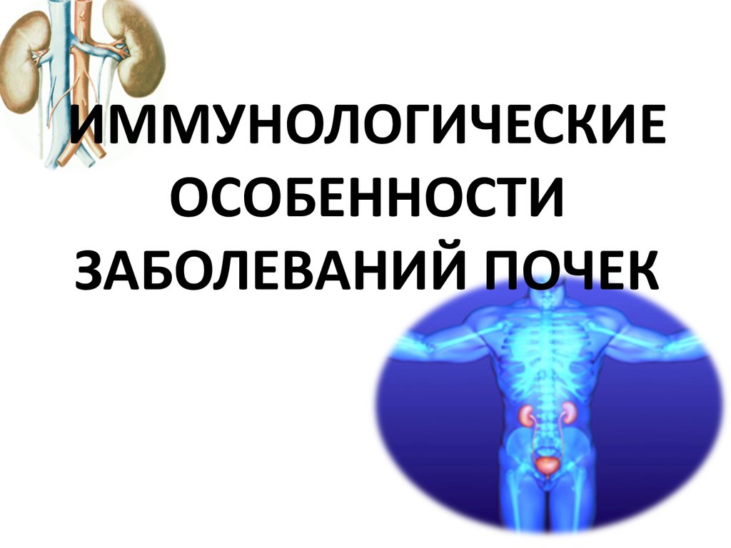 Иммунные заболевания почек. Аутоиммунные заболевания почек. Механизмы иммунологических привилегий. Иммунологический тест на почки.