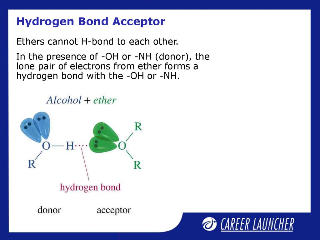 What Is A Hydrogen Bond Donor And Acceptor