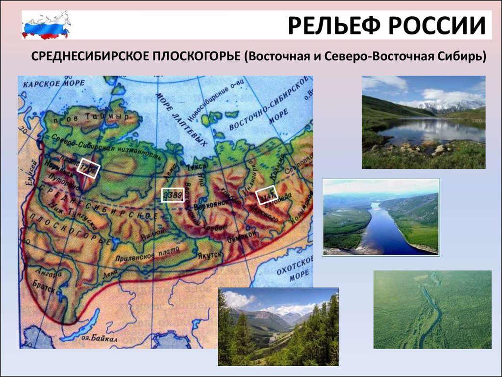 Опишите по плану географическое положение амазонской низменности и среднесибирского плоскогорья