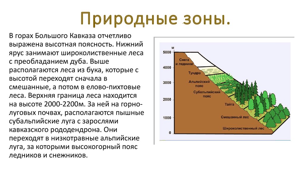 На какой высоте расположен субальпийский пояс кавказ. Высотная поясность Кавказа 8 класс география. География 8 Высотная поясность Кавказа. Природные зоны Кавказа Высотная поясность. Природные. Зоны Высотная поясность Северного Кавказа.