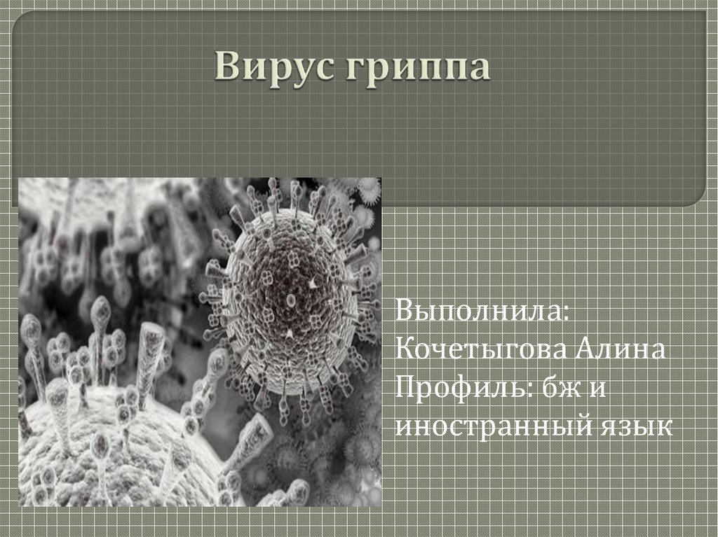 Грипп презентация. Презентация на тему вирус гриппа. Вирус гриппа презентация по микробиологии. Вирус гриппа микробиология презентация. Вирус гриппа микробиология.