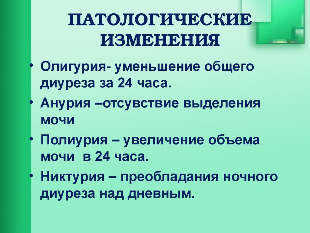 Патологические изменения. Антологические изменения. Патологические изменения мочи. Анурия никтурия.