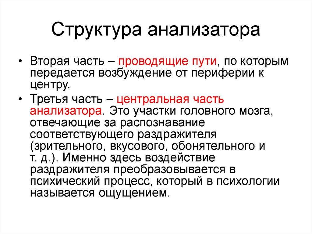 В состав анализатора входят ответ. Структура анализатора. Общие принципы строения анализаторов. Структура анализаторной системы. Структура анализатора в психологии.