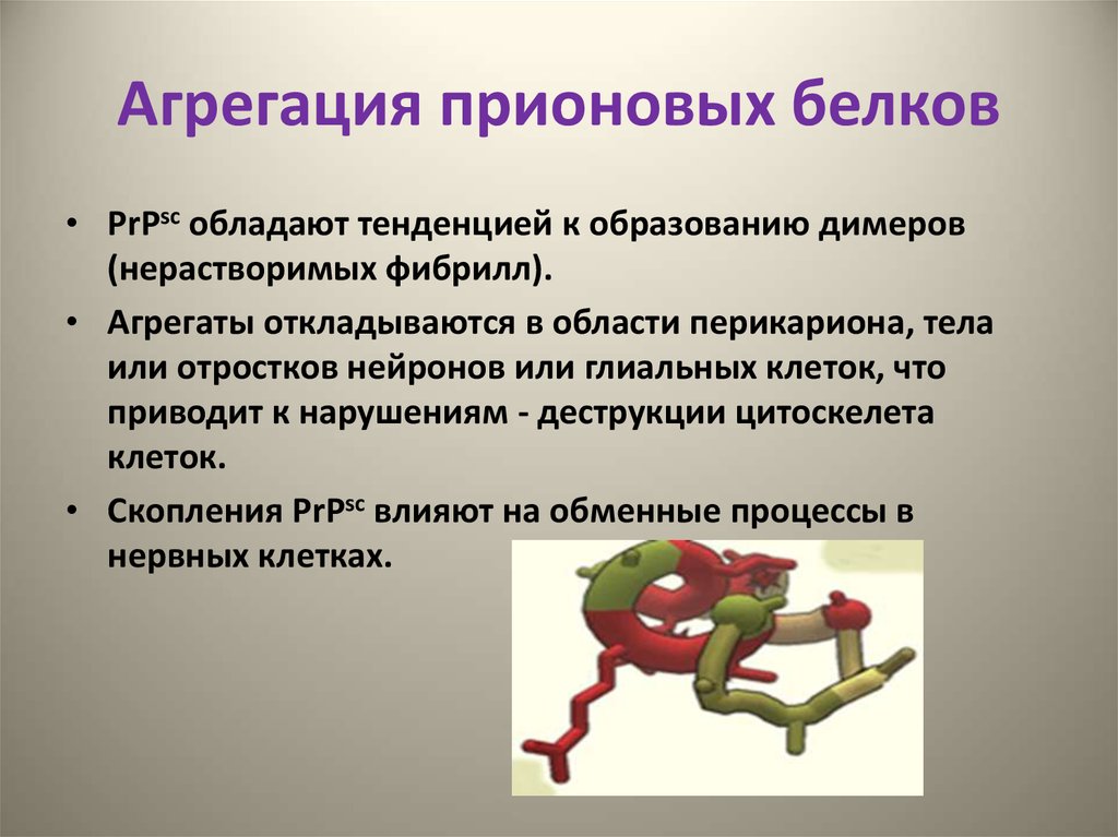 Агрегация это. Агрегация белков. Агрегирование белков. Агрегация белковых Глобул. Агрегация прионовых белков.