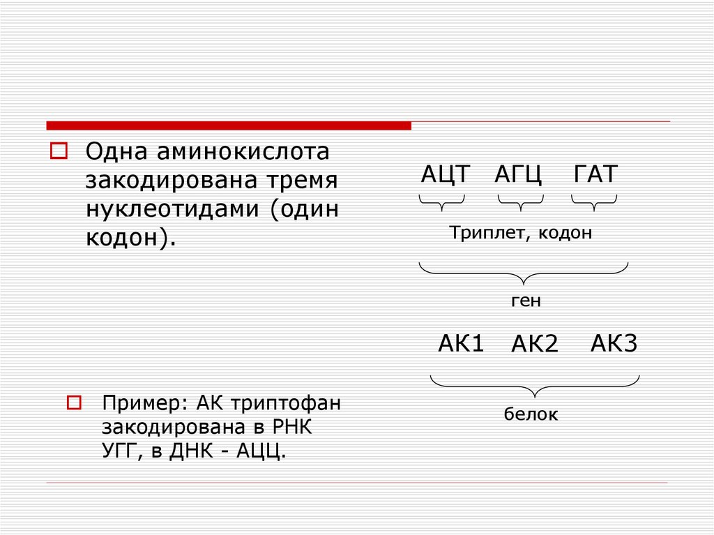 Одну аминокислоту белка кодирует. Ген триплет кодон. Триплет формула. Один триплет кодирует одну аминокислоту. Одна аминокислота кодируется тремя нуклеотидами.