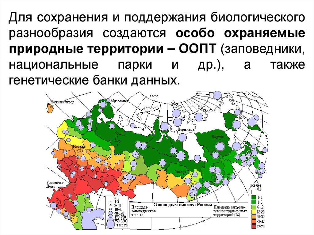 Федерального проекта сохранение биологического разнообразия и развитие экологического туризма