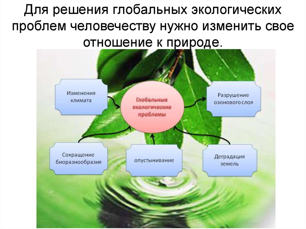 План егэ глобальные экологические проблемы