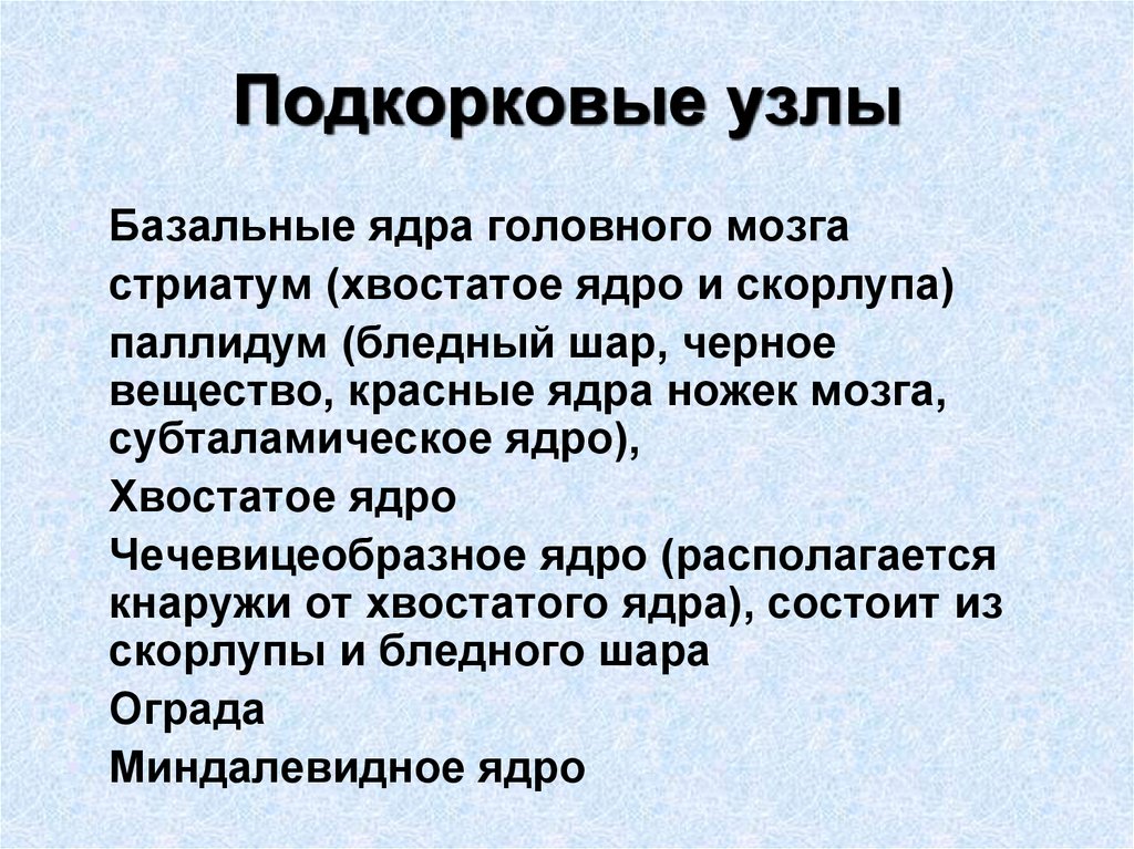 Узлы мозга. Подкорковые узлы. Подкорковые структуры. Подкорковые узлы головного мозга. Функции подкорковых структур.