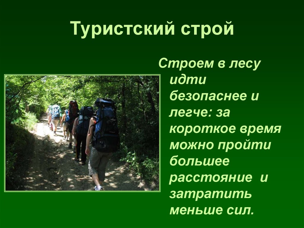 Правила поведения в горах. Безопасность в походе. Безопасность в туристическом походе. Поведение в походе. Безопасное поведение в походе.