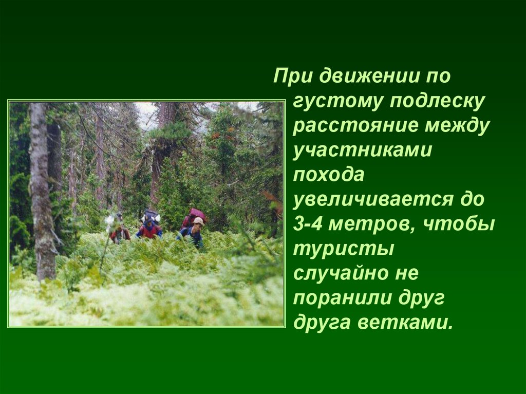 Правила безопасности в туристическом походе презентация