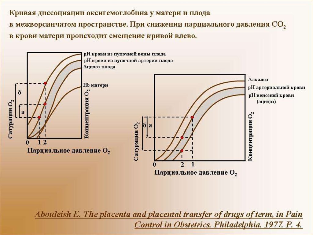 Диссоциация оксигемоглобина