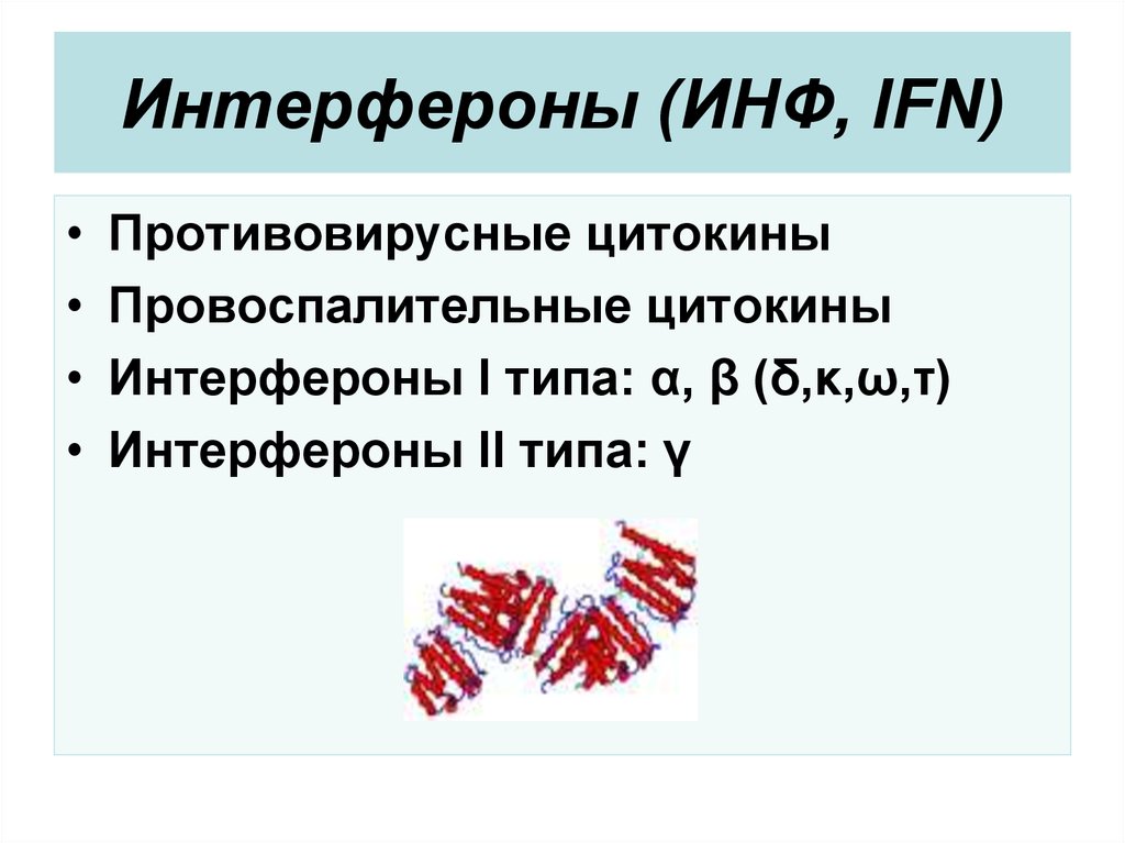 Интерфероны презентация иммунология