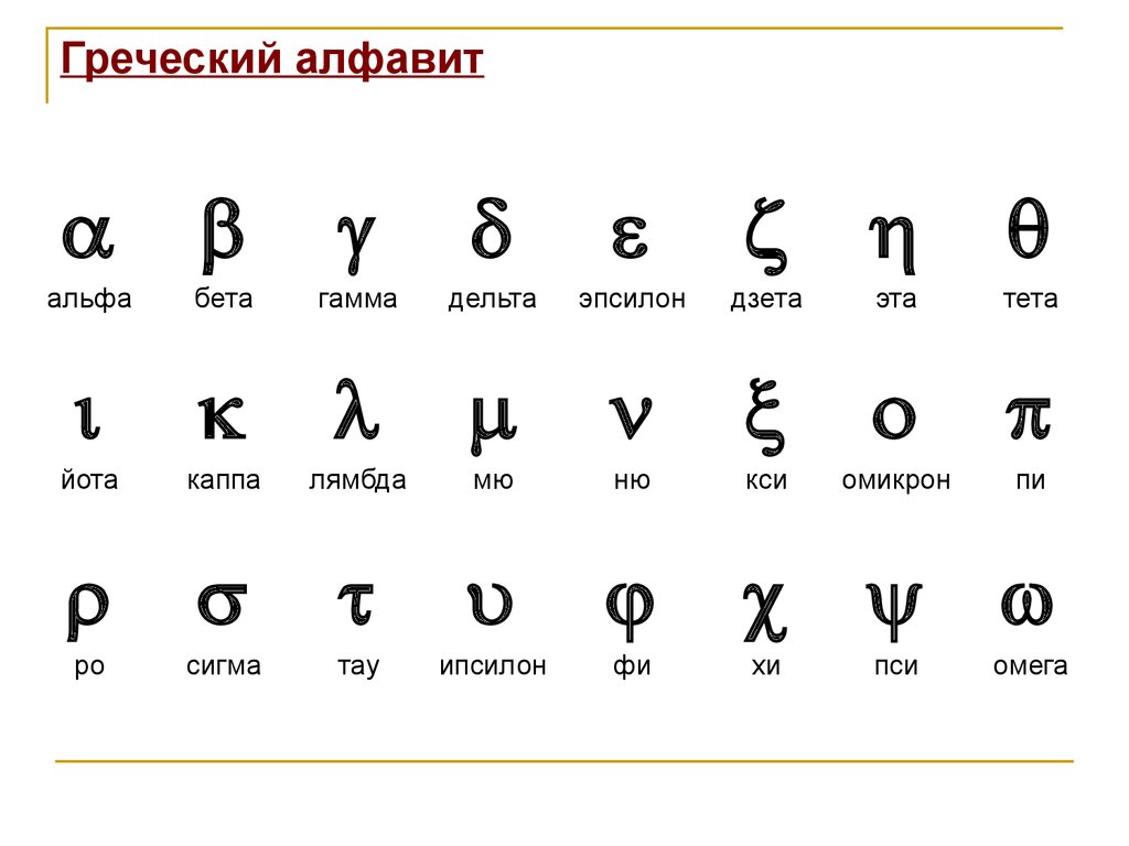 Картинки как выглядит бука