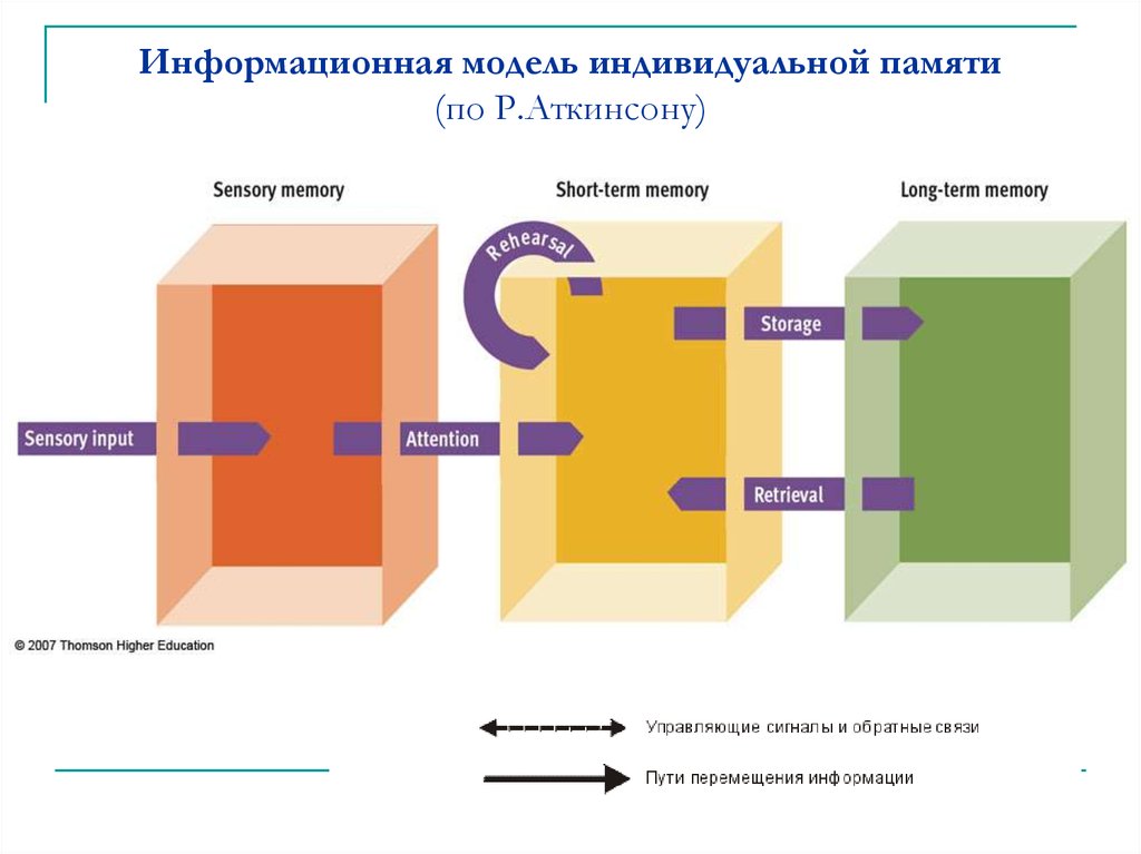 Схема памяти по р аткинсону и р шифрину