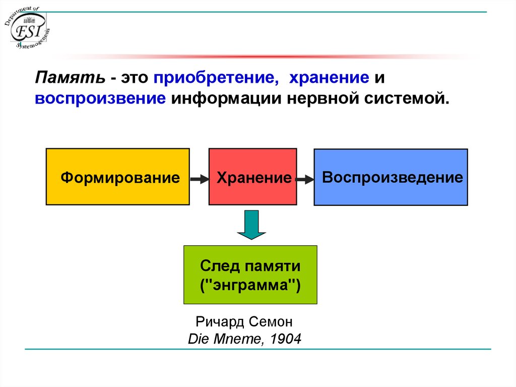 Роль памяти в деятельности