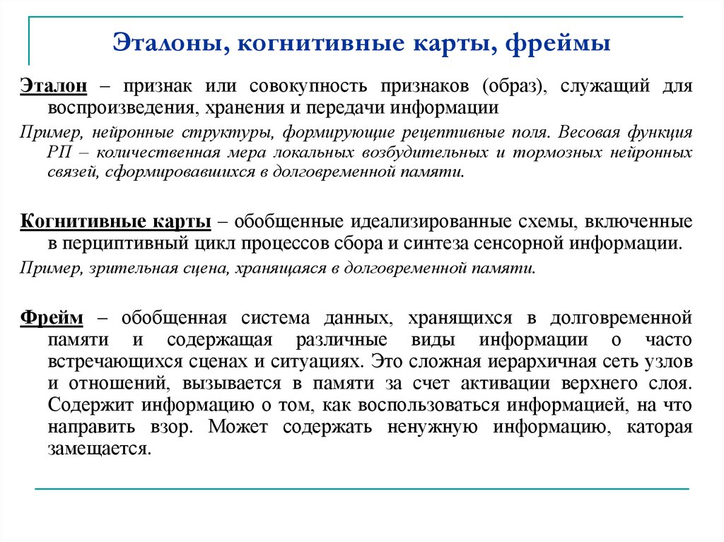 Роль памяти в деятельности. Роль памяти в профессиональной деятельности.