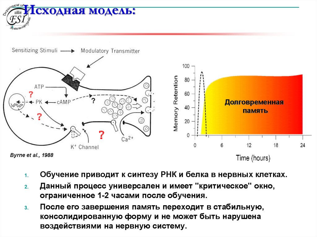 Исходная модель. Модель долговременной памяти Бауэра и Андерсона.