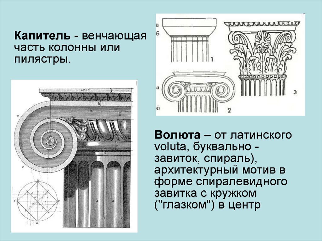Валютные ордера. Дорический ионический Коринфский ордер в архитектуре. Волюта архитектурный мотив в форме спиралевидного завитка. Валюта ионической капители. Волюта орнамент древней Греции.