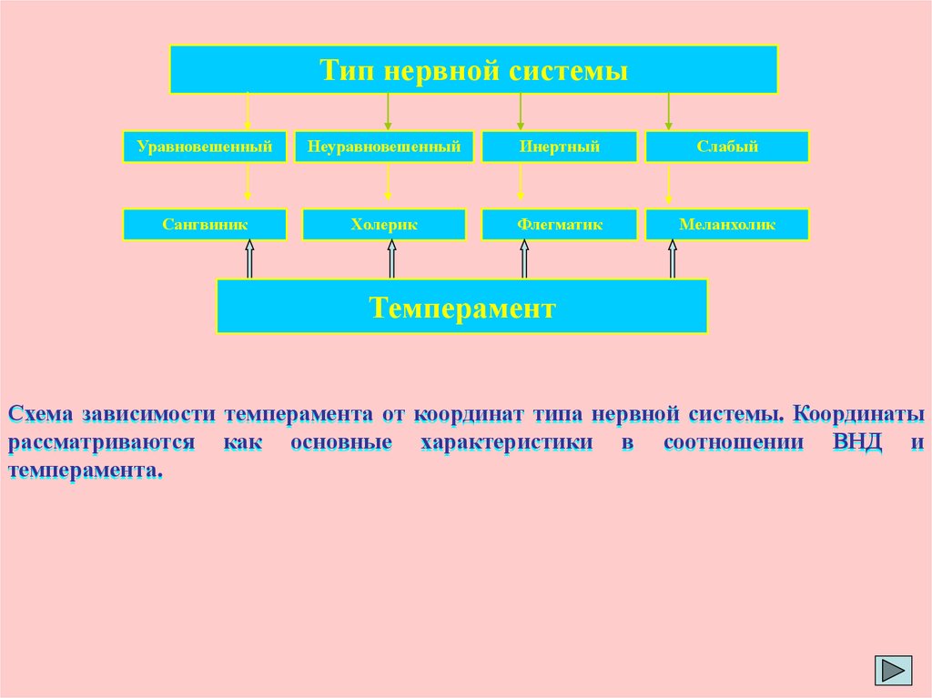 Схема зависимости. Схема зависимости темперамента от координат типа нервной системы. Схема зависимости темпераментов параметров Симонову. Характеристики водителей в зависимости от типа нервной системы.