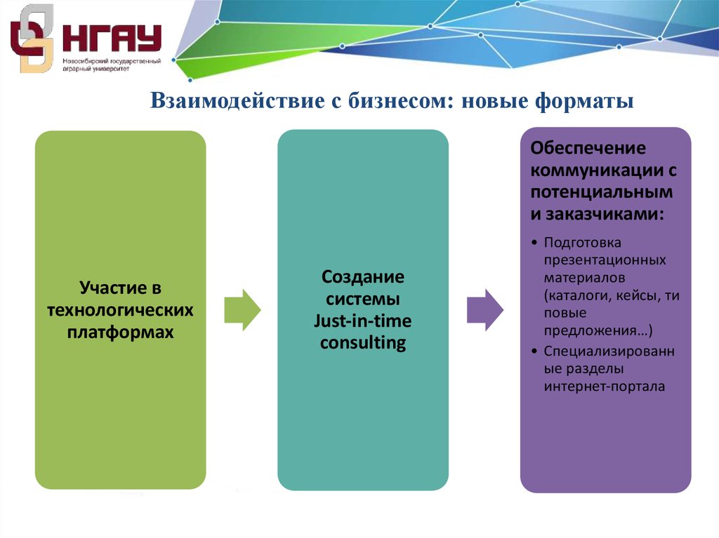 Бизнес взаимодействие. Подготовка презентационных материалов. Стратегия развития Новосибирска. Обеспечение коммуникации.
