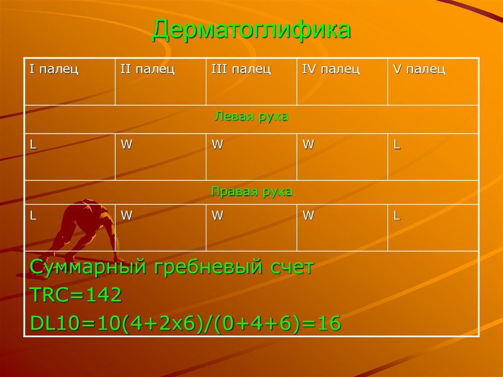 Дерматоглифика