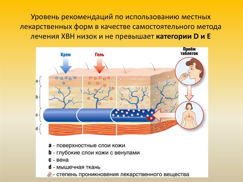 Оки местное применение. Проницаемость кожи для лекарственных препаратов. Степень проникновения. Глубина проникновения местных лекарственных форм. Местные лекарственные формы для лечения хронических заболеваний вен.