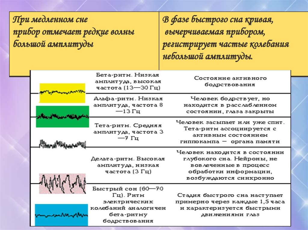 Быстрая фаза сна