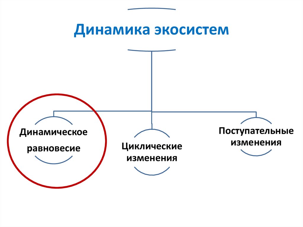 Какой из рисунков иллюстрирует циклический тип социальной динамики