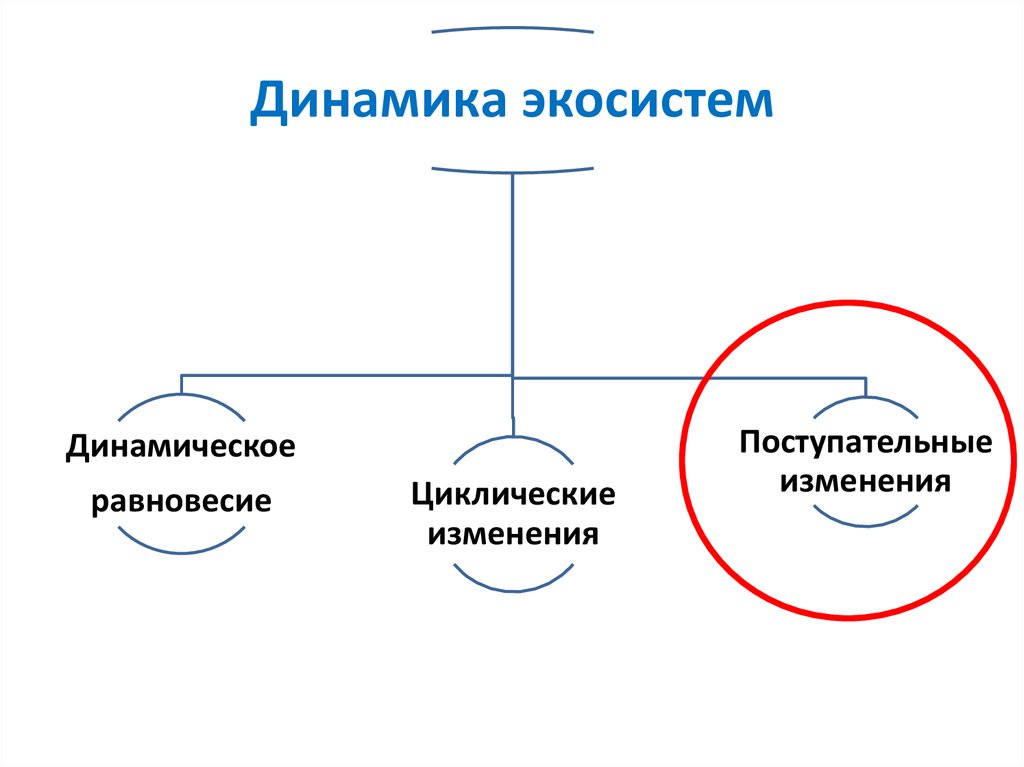 Циклические изменения