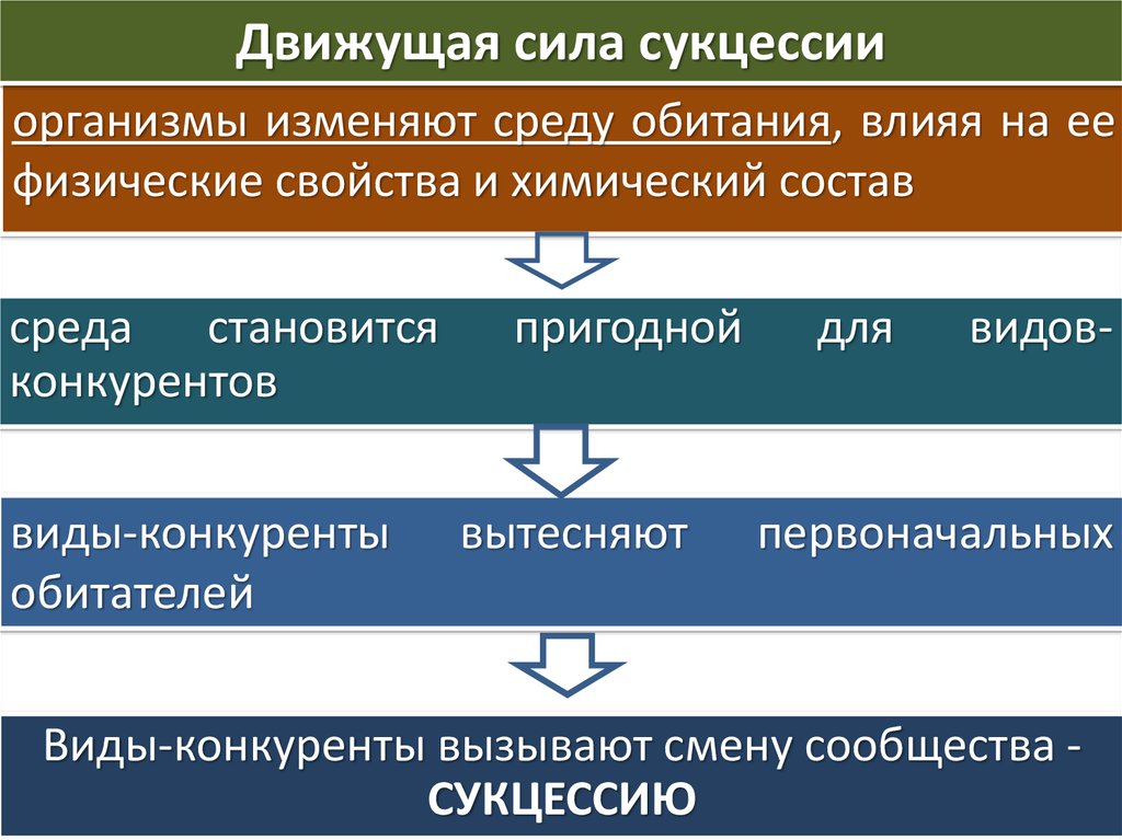 Виды движущей силы. Движущая сила сукцессии. Движущие силы социальных процессов.. Основные движущие силы сукцессии. Движущая сила экосистемы.