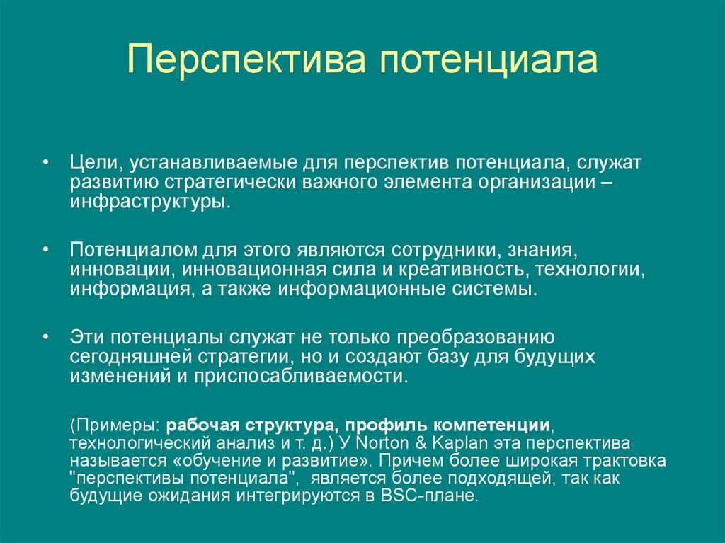 Перспектива реализации проекта пример