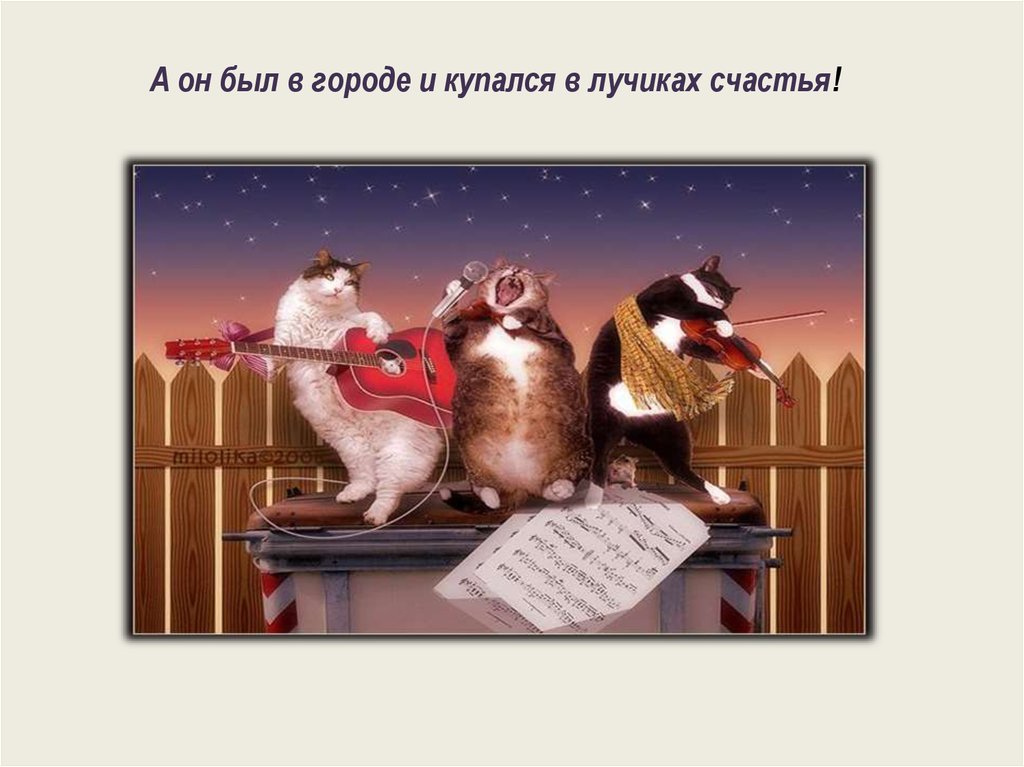 А он был в городе и купался в лучиках счастья!