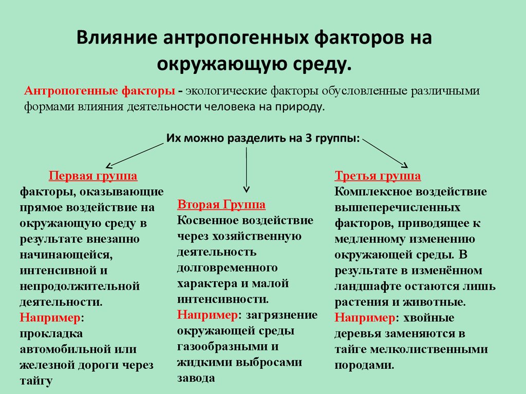 Влияние это. Факторы антропогенного воздействия на окружающую среду. Антропогенные факторы среды. Влияние антропогенных факторов на окружающую среду. Антропогенные экологические факторы.