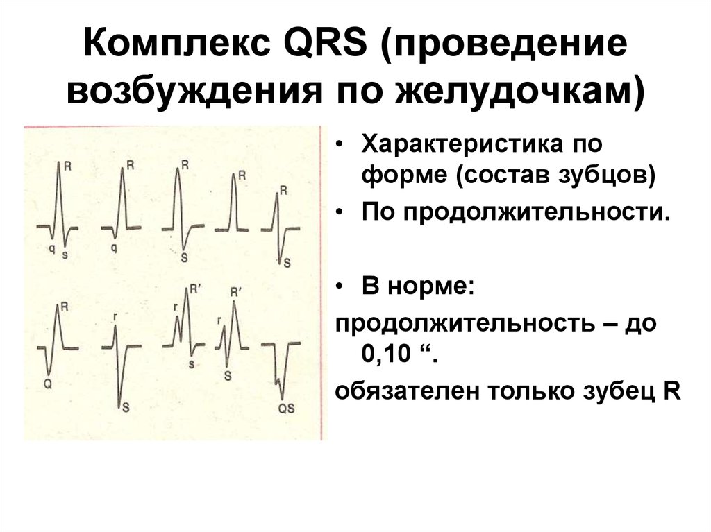 Зубцы экг в норме. Длительность комплекса QRS В норме. Продолжительность комплекса QRS на ЭКГ В норме составляет. Комплекс QRS на ЭКГ отражает. Комплекс зубцов QRS характеризует.