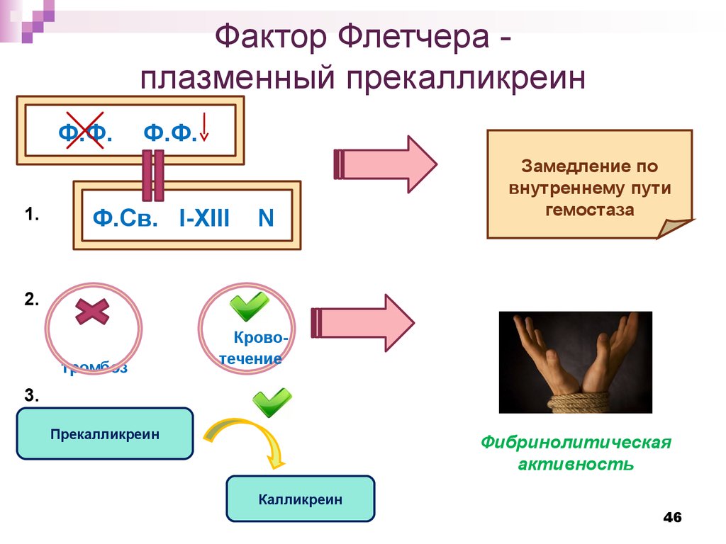 Карта логана флетчера