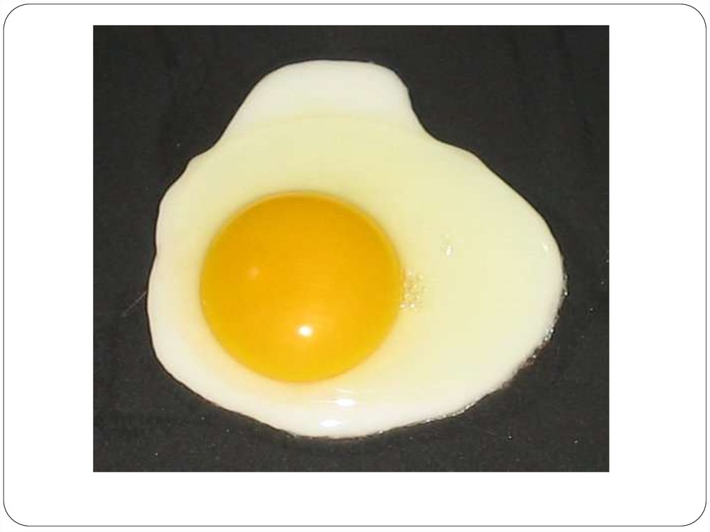 Куриное яйцо без белка. Тепловая денатурация белка. Термическая денатурация белка. Яичный белок. Яичные белки.