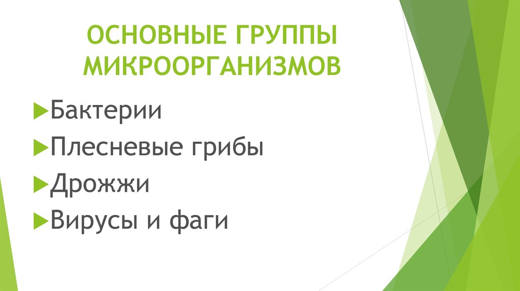 ОСНОВНЫЕ ГРУППЫ МИКРООРГАНИЗМОВ