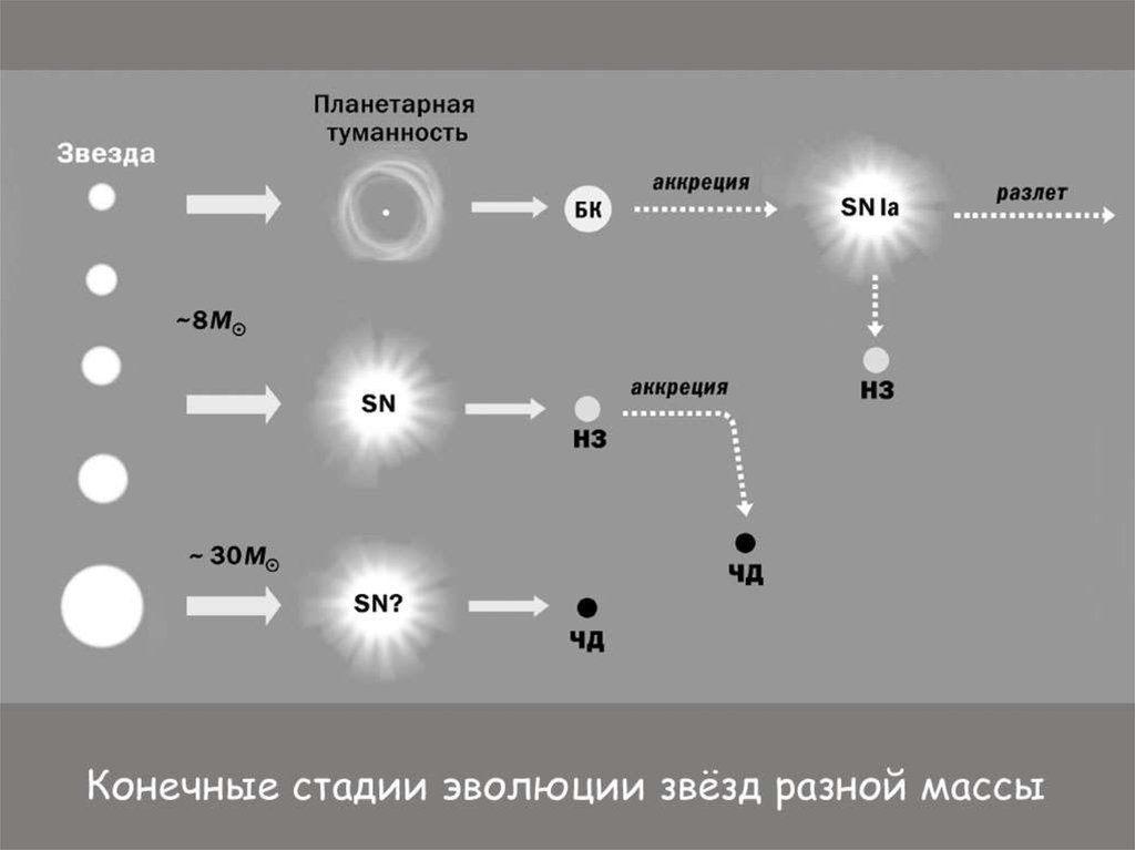 Соотнесите группу звезд и схему их эволюции