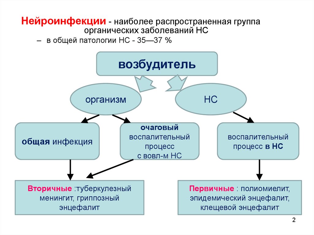 Воспалительные процессы нервной системы. Нейроинфекции этиология. Нейроинфекции классификация. Нейроинфекция головного мозга. Симптомы нейроинфекций.