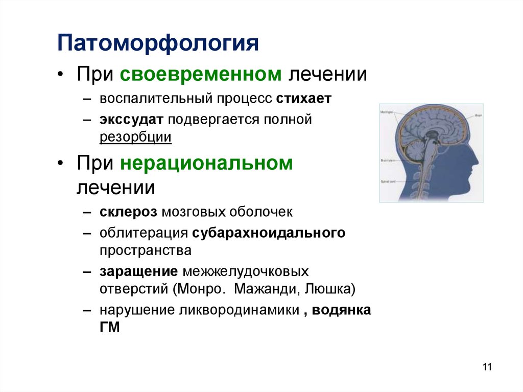 Мозговой склероз. Воспалительные заболевания оболочек головного мозга. Склероз мягкой мозговой оболочки. Нейроспид асептический менингит.