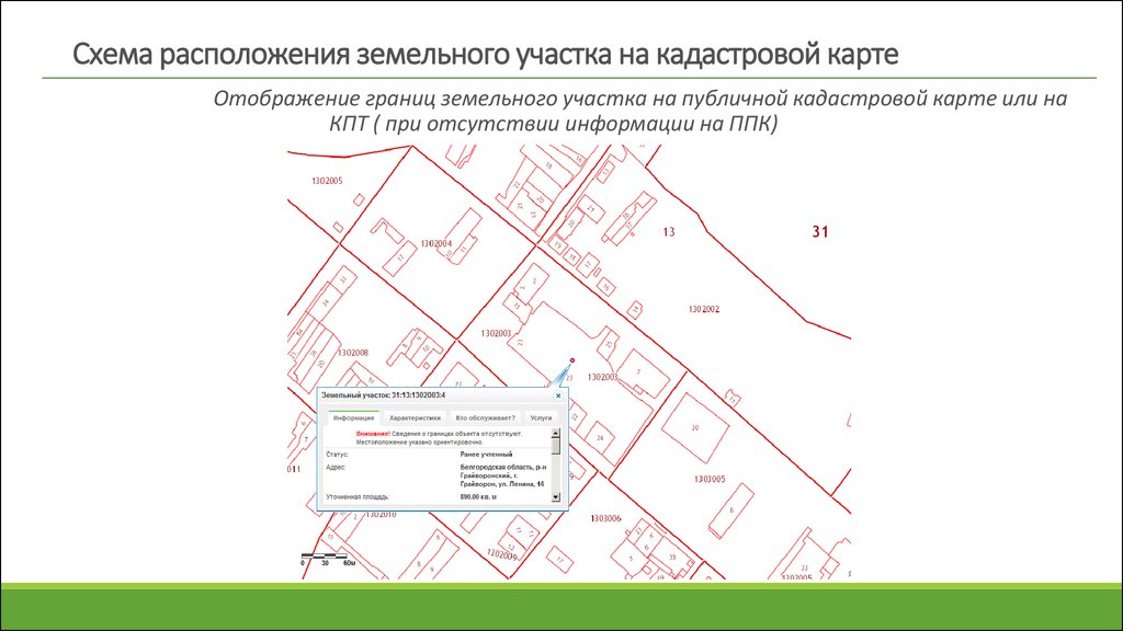 Границы участка на карте. Схема размещения земельного участка на публичной кадастровой карте. Кадастровая карта земельного участка. Схема расположения земельного участка на кадастровой карте. Границы участков на кадастровой карте.