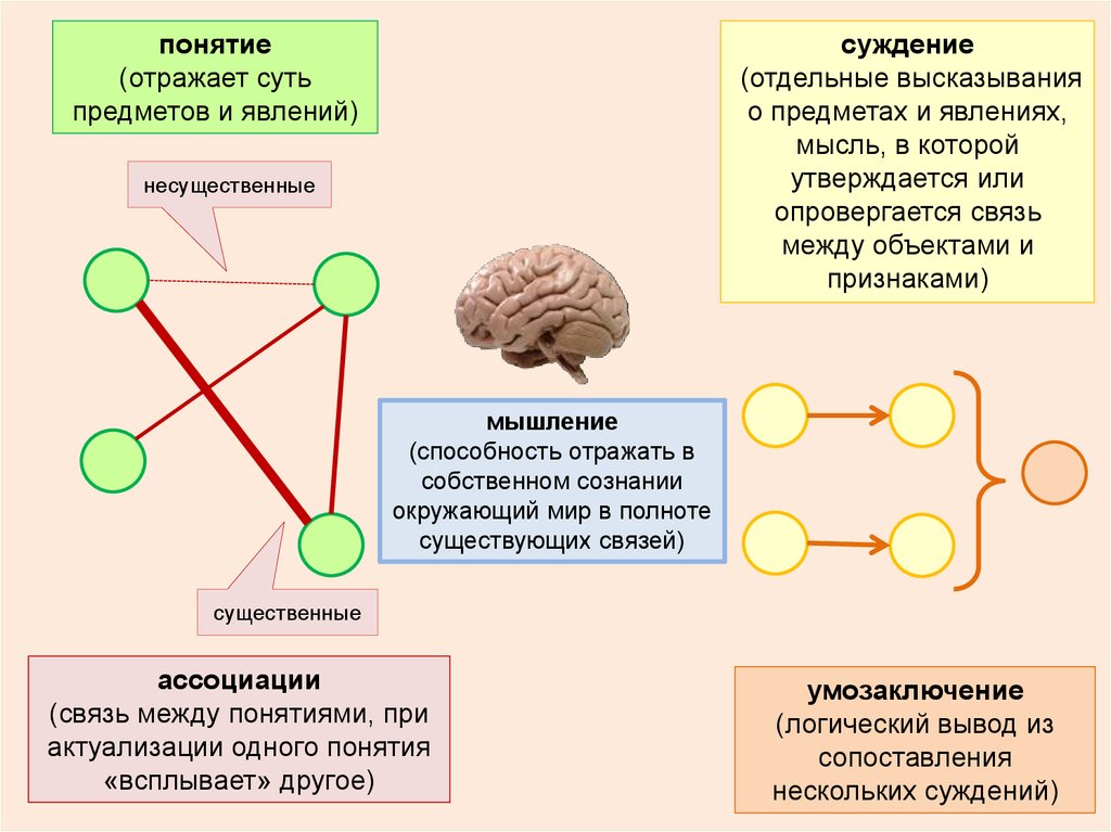 Абстракция примеры в медицине